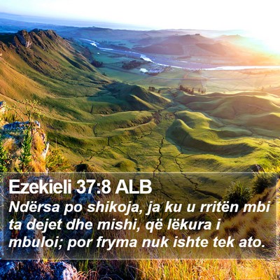 Ezekieli 37:8 ALB Bible Verse Image