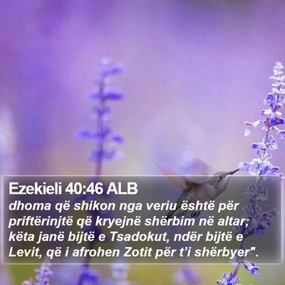 Ezekieli 40:46 ALB Bible Verse Image