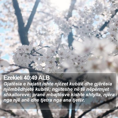 Ezekieli 40:49 ALB Bible Verse Image