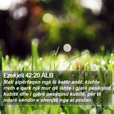 Ezekieli 42:20 ALB Bible Verse Image