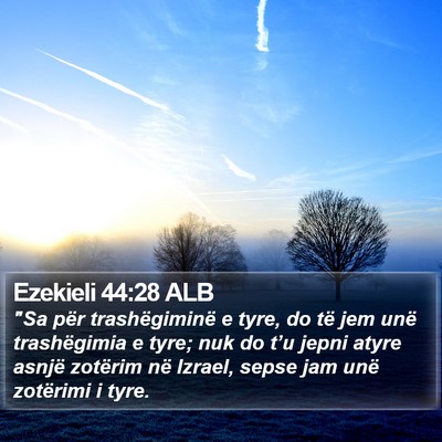 Ezekieli 44:28 ALB Bible Verse Image