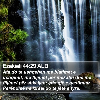 Ezekieli 44:29 ALB Bible Verse Image