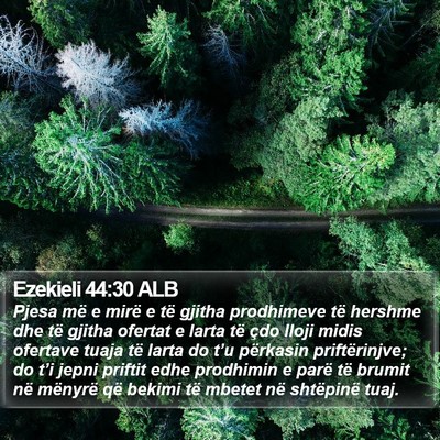 Ezekieli 44:30 ALB Bible Verse Image
