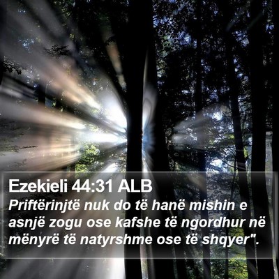 Ezekieli 44:31 ALB Bible Verse Image