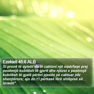 Ezekieli 45:6 ALB Bible Verse Image