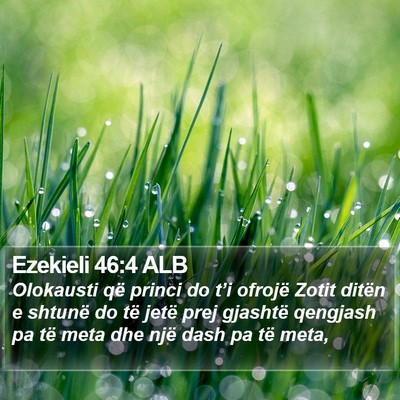 Ezekieli 46:4 ALB Bible Verse Image