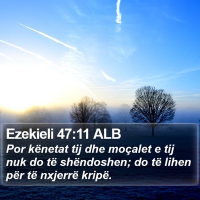 Ezekieli 47:11 ALB Bible Verse Image