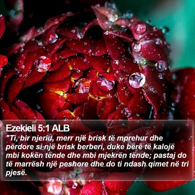 Ezekieli 5:1 ALB Bible Verse Image