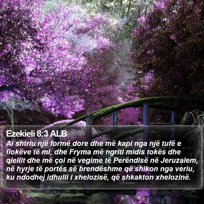 Ezekieli 8:3 ALB Bible Verse Image