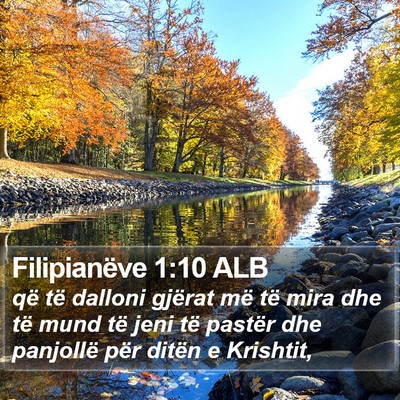 Filipianëve 1:10 ALB Bible Verse Image