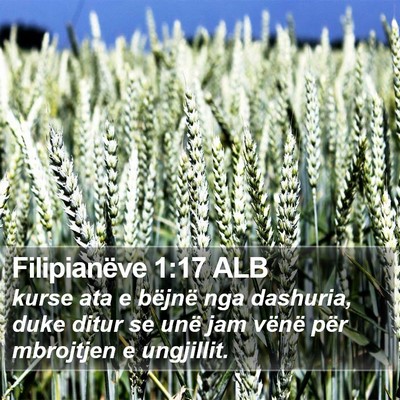 Filipianëve 1:17 ALB Bible Verse Image