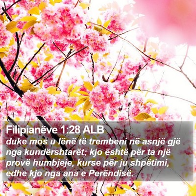 Filipianëve 1:28 ALB Bible Verse Image