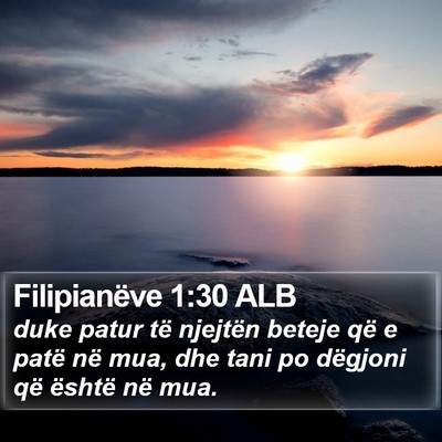 Filipianëve 1:30 ALB Bible Verse Image