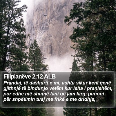 Filipianëve 2:12 ALB Bible Verse Image