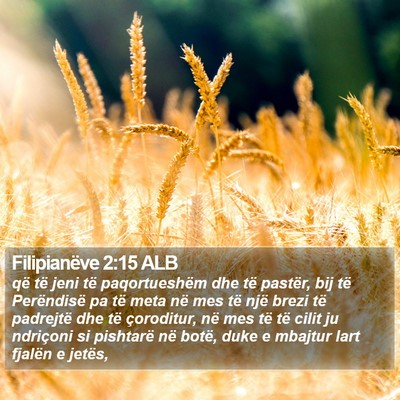 Filipianëve 2:15 ALB Bible Verse Image