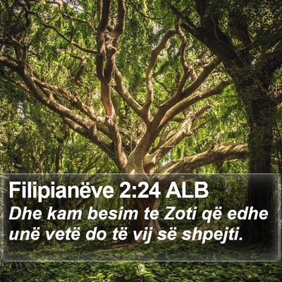Filipianëve 2:24 ALB Bible Verse Image