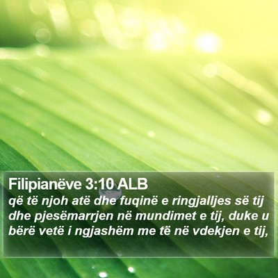Filipianëve 3:10 ALB Bible Verse Image
