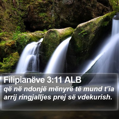 Filipianëve 3:11 ALB Bible Verse Image