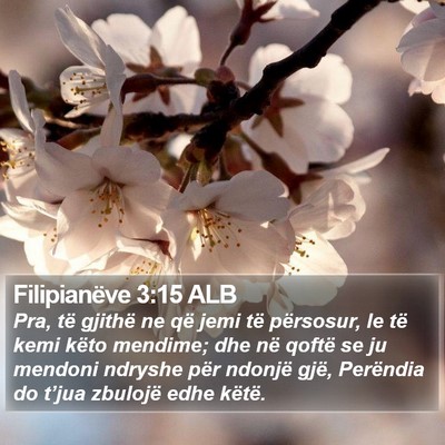 Filipianëve 3:15 ALB Bible Verse Image