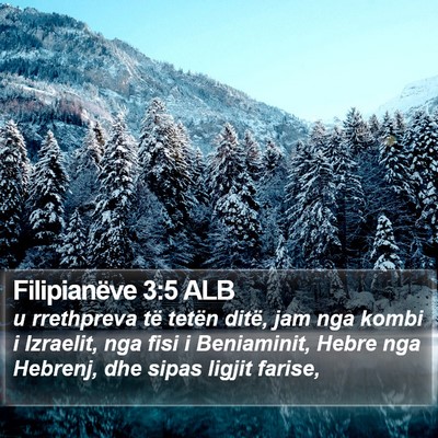 Filipianëve 3:5 ALB Bible Verse Image