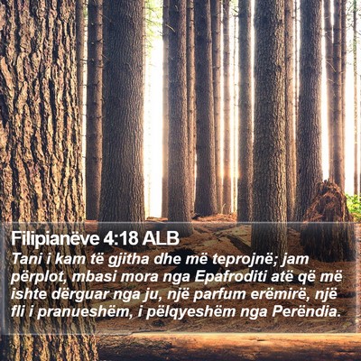 Filipianëve 4:18 ALB Bible Verse Image