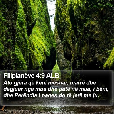 Filipianëve 4:9 ALB Bible Verse Image