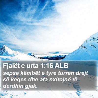 Fjalët e urta 1:16 ALB Bible Verse Image