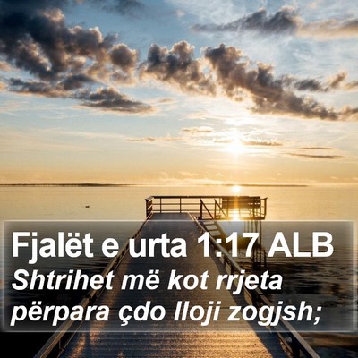 Fjalët e urta 1:17 ALB Bible Verse Image