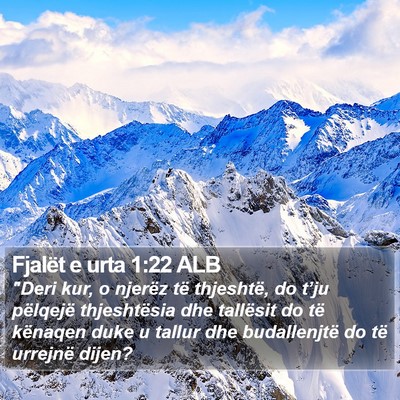 Fjalët e urta 1:22 ALB Bible Verse Image