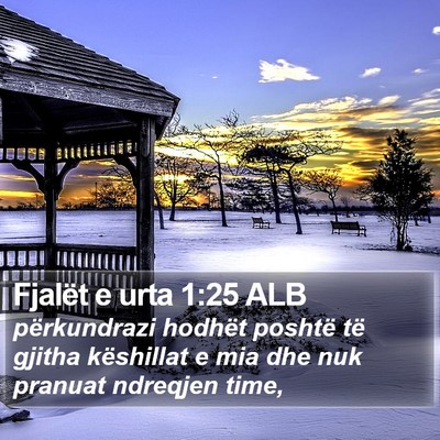Fjalët e urta 1:25 ALB Bible Verse Image
