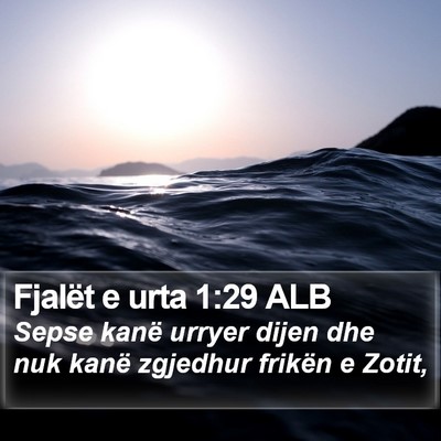 Fjalët e urta 1:29 ALB Bible Verse Image