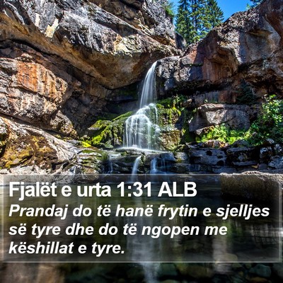 Fjalët e urta 1:31 ALB Bible Verse Image