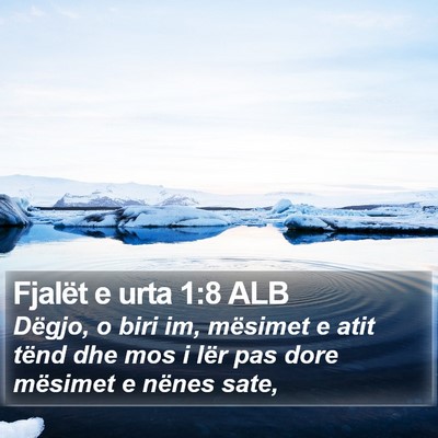 Fjalët e urta 1:8 ALB Bible Verse Image