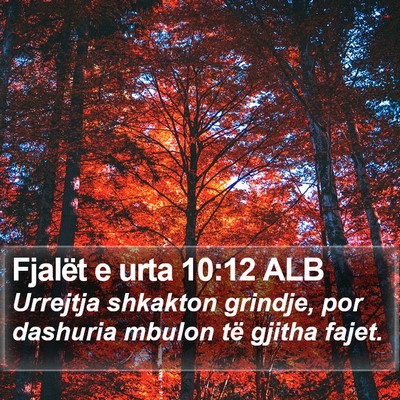Fjalët e urta 10:12 ALB Bible Verse Image