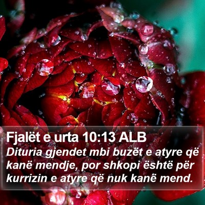 Fjalët e urta 10:13 ALB Bible Verse Image