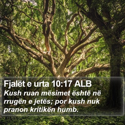 Fjalët e urta 10:17 ALB Bible Verse Image