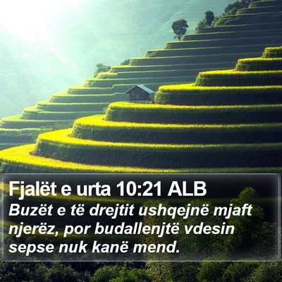 Fjalët e urta 10:21 ALB Bible Verse Image