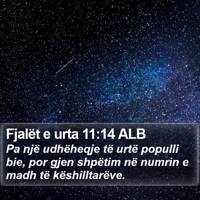 Fjalët e urta 11:14 ALB Bible Verse Image