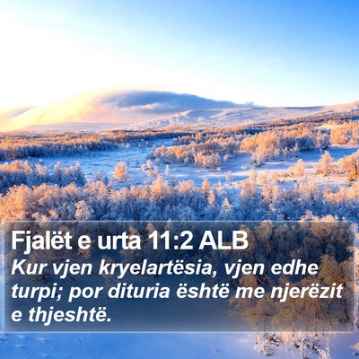 Fjalët e urta 11:2 ALB Bible Verse Image