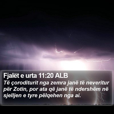 Fjalët e urta 11:20 ALB Bible Verse Image