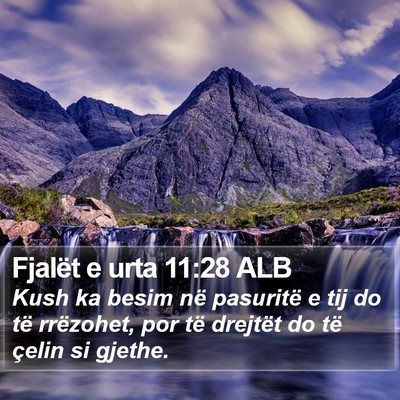 Fjalët e urta 11:28 ALB Bible Verse Image