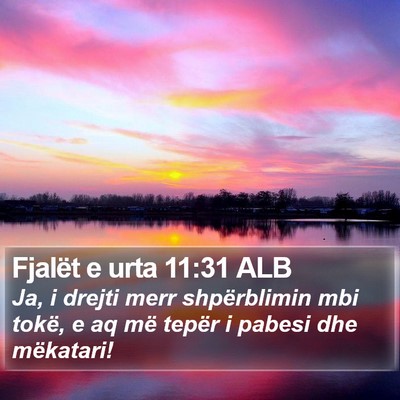 Fjalët e urta 11:31 ALB Bible Verse Image