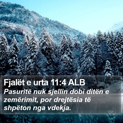 Fjalët e urta 11:4 ALB Bible Verse Image
