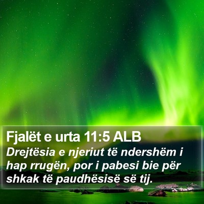 Fjalët e urta 11:5 ALB Bible Verse Image