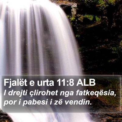 Fjalët e urta 11:8 ALB Bible Verse Image