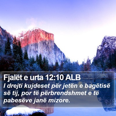 Fjalët e urta 12:10 ALB Bible Verse Image
