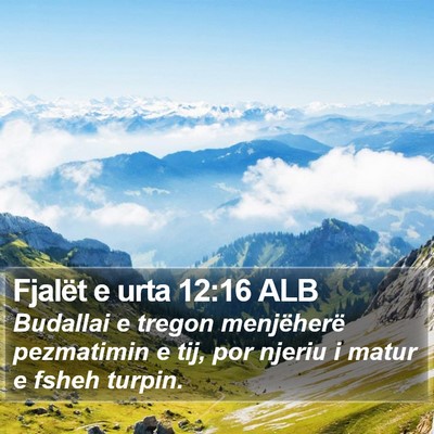 Fjalët e urta 12:16 ALB Bible Verse Image