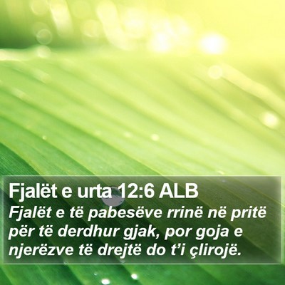 Fjalët e urta 12:6 ALB Bible Verse Image