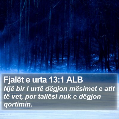 Fjalët e urta 13:1 ALB Bible Verse Image