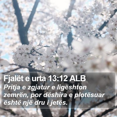 Fjalët e urta 13:12 ALB Bible Verse Image
